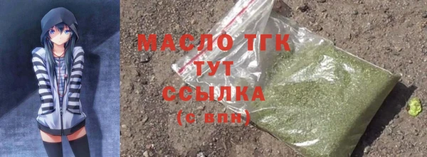 твердый Богородицк