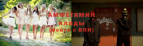 твердый Богородск