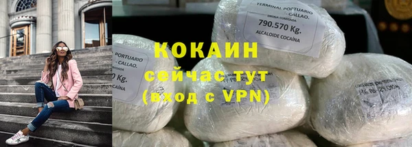 твердый Богородицк