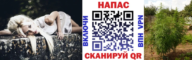 Марихуана MAZAR  Киреевск 
